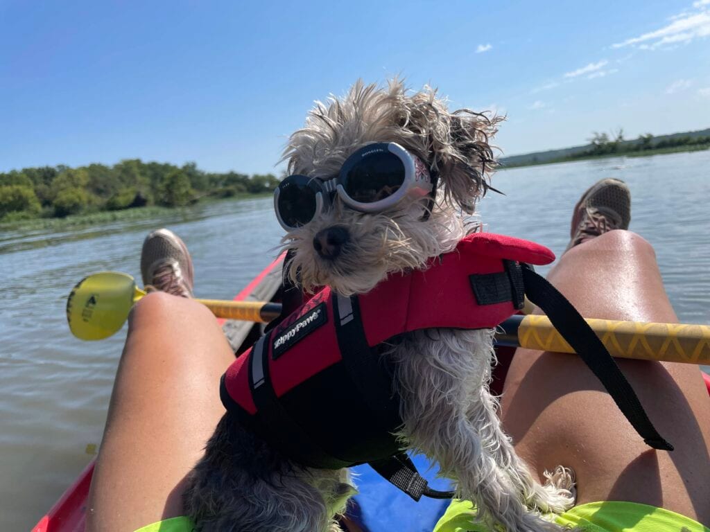 starved rock campground