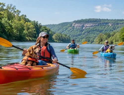 Guided Kayak Tour Review: Illinois River