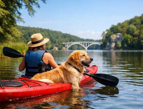Best Dog Friendly Kayak Trips Illinois