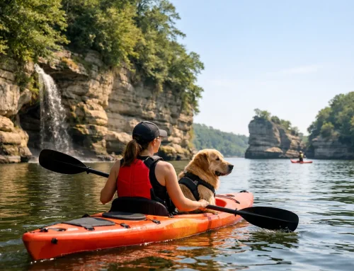 Can You Kayak Starved Rock With a Dog?