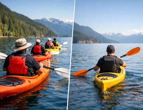 Guided Kayak Tour vs Solo Rental