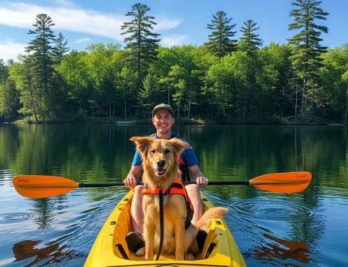 Dog-Friendly Kayak Rentals