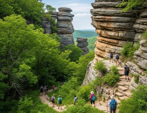 Discover the Best Starved Rock Hiking Trails