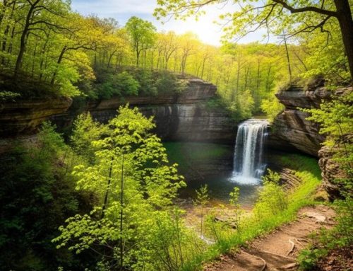 Discover the Best Hiking Trails at Starved Rock