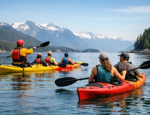 Guided Kayaking Versus Self-Guided Trips
