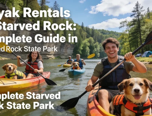 Kayak Rentals at Starved Rock: Complete Guide in Starved Rock State Park