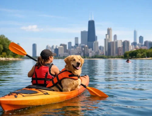 Dog Friendly Kayaking Near Chicago Made Easy