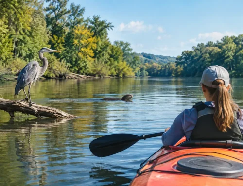 Illinois River Wildlife Guide for Kayakers