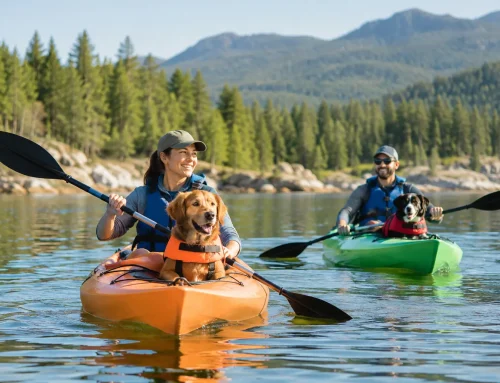 Campground Rules Guide for a Better Weekend